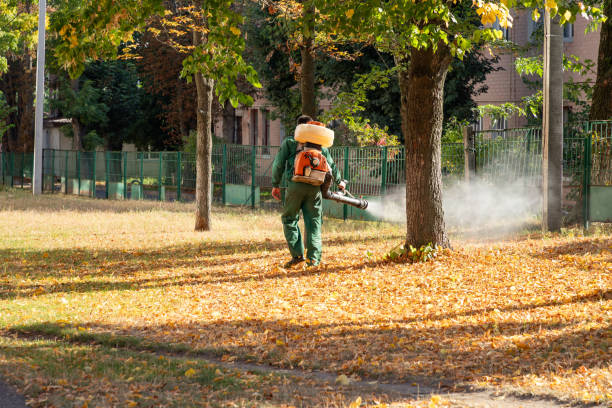 Best Cockroach Control Services  in Oak Grove, KY