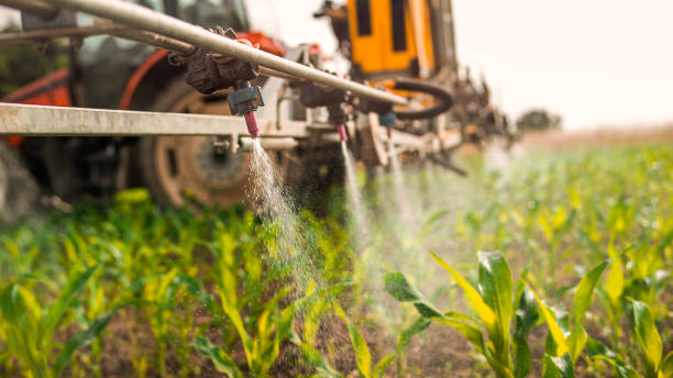 Best Commercial Pest Control Services  in Oak Grove, KY