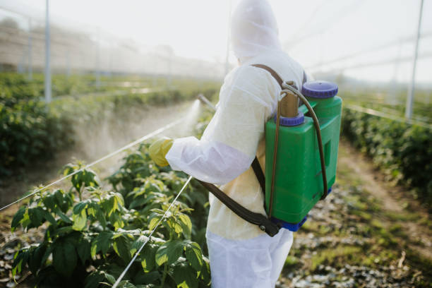  Oak Grove, KY Pest Control Pros